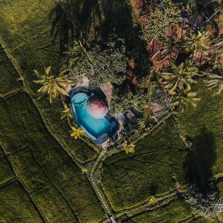 Nelu Resort Сигирия Экстерьер фото