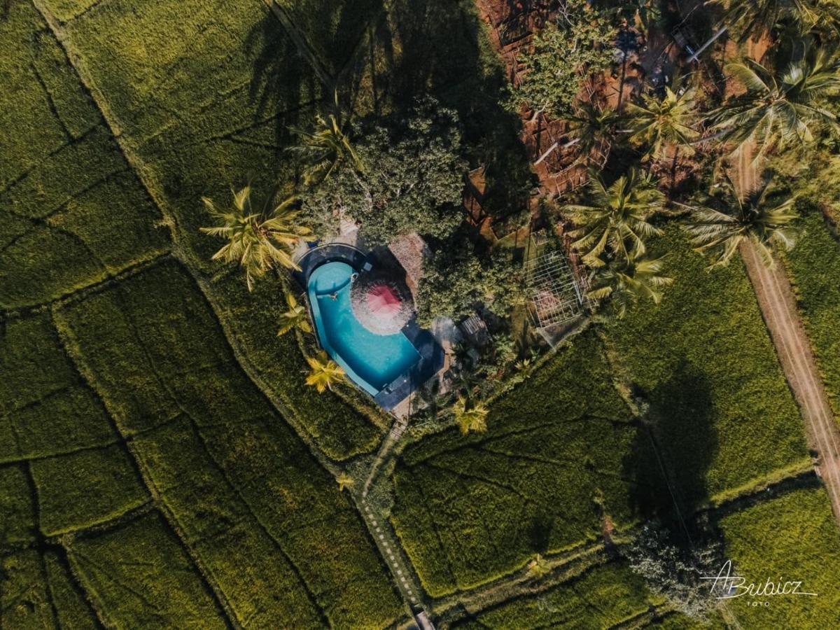 Nelu Resort Сигирия Экстерьер фото